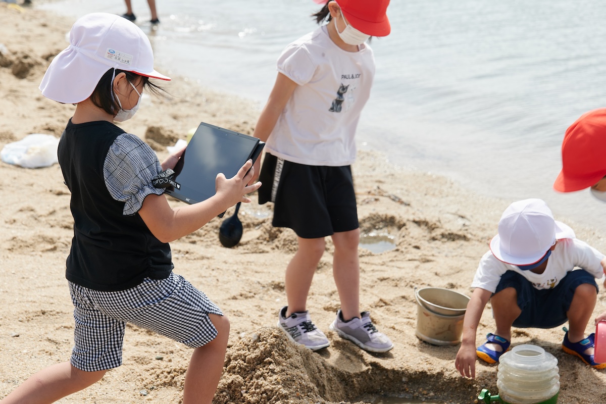 海辺での調査